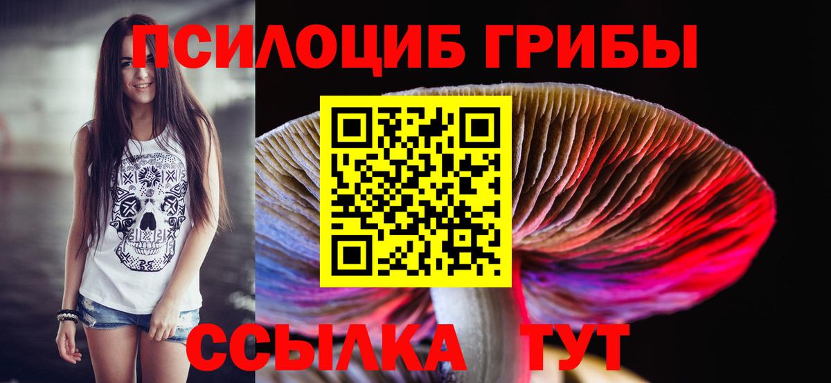 Иркутск  Галлюциногенные грибы Cubensis  Вход с VPN 